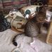 Wanda Hutchison - Facebook