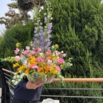 Diane Bower - @wandaince5410sa - Instagram