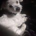 Wanda Irwin - Facebook