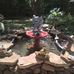 Wanda Jett - Facebook
