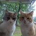 Wanda Jetton - Facebook