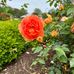 Wanda Johnston - Facebook