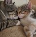 Wanda Johnston - Facebook