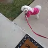 wandajohnston91 - @wandajohnston91 - TikTok