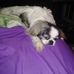 Wanda Judd - Facebook