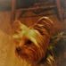 Wanda Kaye - Facebook