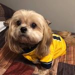 Wanda Keen - @wandansimon - Instagram