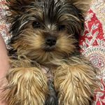 Wanda Kelsey - @dakelsey4 - Instagram