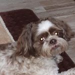 Wanda Kenney - @wanda.kenney1 - Instagram