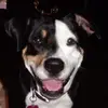 wandakenny - @wandakenny - TikTok