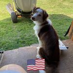 Wanda Kent - @wandakent10 - Instagram