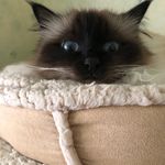 Wanda Kent-Smith - @kentsmithwanda - Instagram