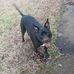 Wanda Kennon - Facebook