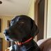 Wanda Kessler - Facebook
