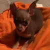 Wanda January Keyes - @user5204174133486 - TikTok