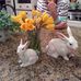 Wanda Kidwell - Facebook