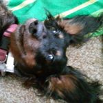 Wanda  Kimbler - @wandakimbler - Instagram