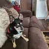 Wanda Kimbler - @wanda.kimbler - TikTok