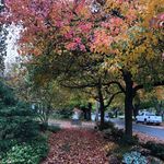 Wanda Kimura - @w_kimura - Instagram