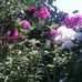 Wanda Kaizer - Facebook