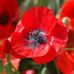 Wanda Kizer - Facebook