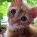 Wanda Coonce - Facebook