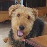 Wanda Kosempel - @wandakosempel - Instagram