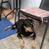 Wanda Lange - @wanda.lange - TikTok