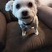 Wanda Langley - Facebook