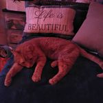 Wanda Lanning - @wanda.lanning - Instagram