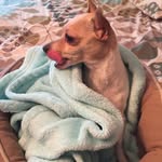 Wanda Laundrie - @wandalaundrie - Instagram