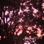 Wanda Lawson - @wonderr.woman7 - Instagram