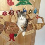 Wanda Lightner - @liglee23 - Instagram