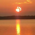 Wanda Loftis - @w_g_loftis - Instagram