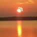 Wanda Loftis - Facebook
