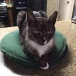 Wanda Lott - @david_lott - Instagram
