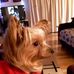 Wanda Lowery - Facebook