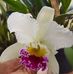 Wanda Lugo - Facebook