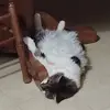 Wanda Luke - @wanda.luke - TikTok