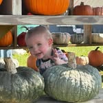 Wanda Lund Prothero - @wprothero - Instagram