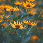 Simple Things Photography - @tstphotographywandalytle - Instagram