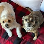 Wanda Kaye Lytle - @lytlewanda - Instagram