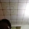 Wanda Lytle - @wanda.lytle24 - TikTok