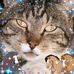 Wanda MacKenzie - Facebook