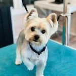 Wanda Macy - @wandamacy1 - Instagram