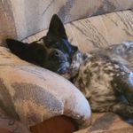 Wanda Madden Cowell - @wandacowell - Instagram