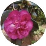 Wanda Madison Minor - @madmin1__ - Instagram