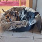 Wanda Sedlmaier - @wandasedlmaier - Instagram