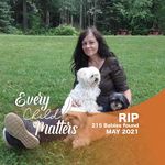 Wanda Main - @wandavpp - Instagram