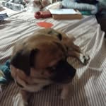 Wanda Marsh - @wanda559415 - Instagram